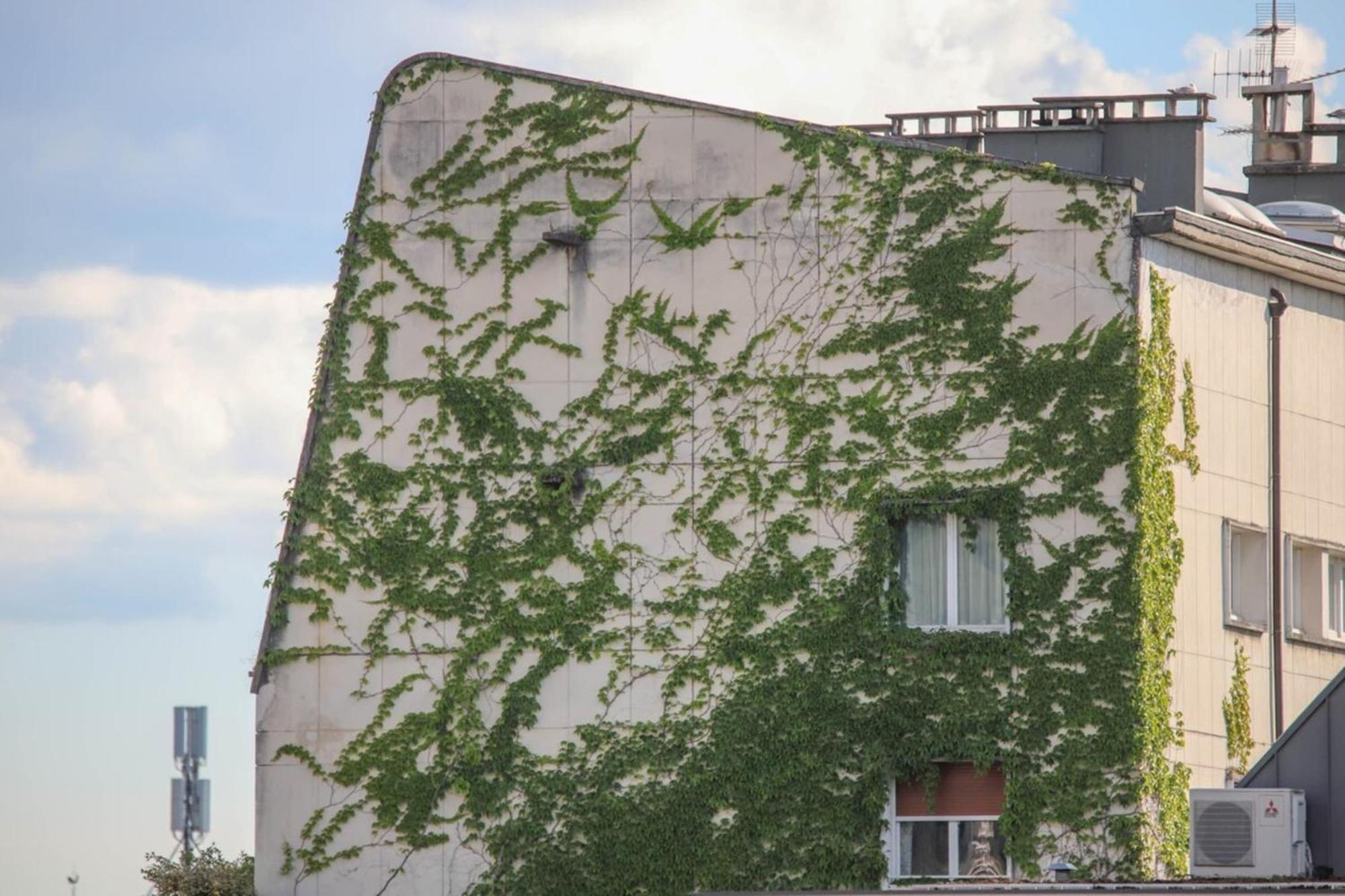 La Pause Annecienne Appartement Familial Άννεσι Εξωτερικό φωτογραφία